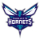 Charlotte-Hornets-Logo NBA SAKATLIK LİSTESİ